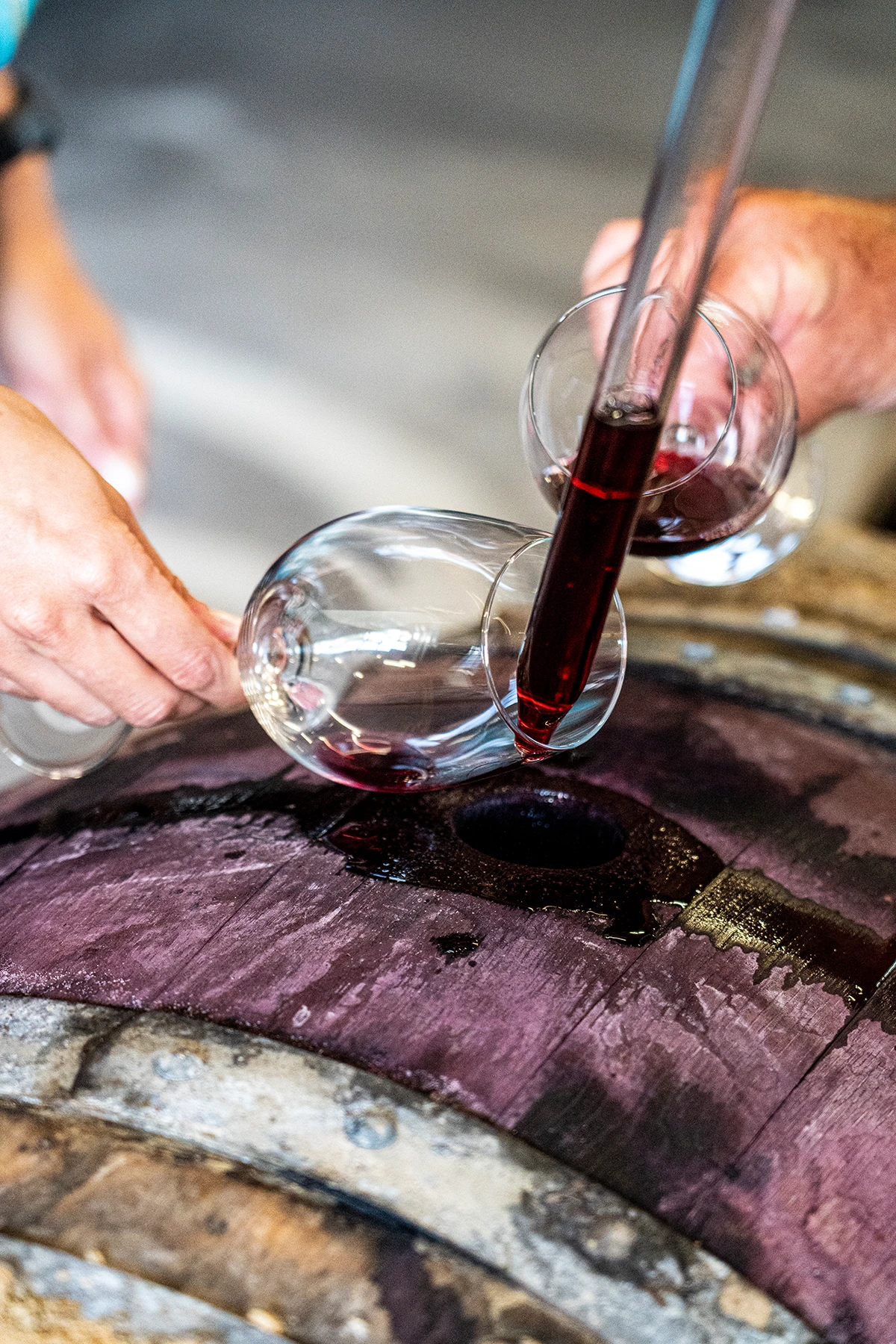 Mehr über den Artikel erfahren Erdwein-Fassbergung